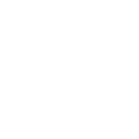 Brasfield Gorrie Logo